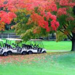 Solar-Powered Golf Cart Accessories